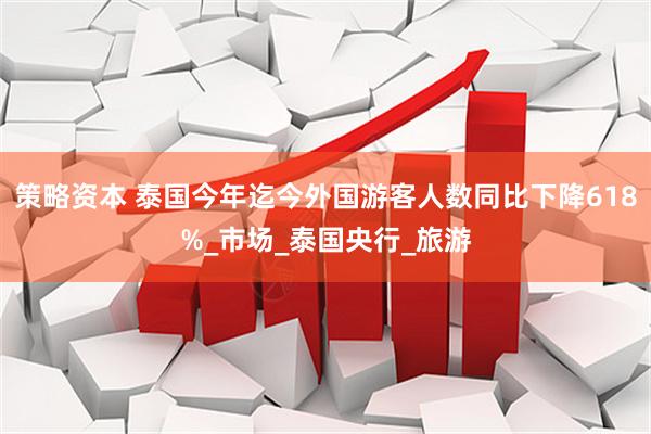 策略资本 泰国今年迄今外国游客人数同比下降618%_市场_泰国央行_旅游