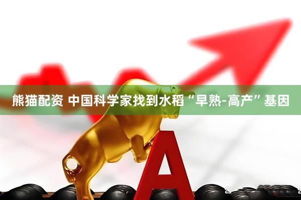 熊猫配资 中国科学家找到水稻“早熟-高产”基因