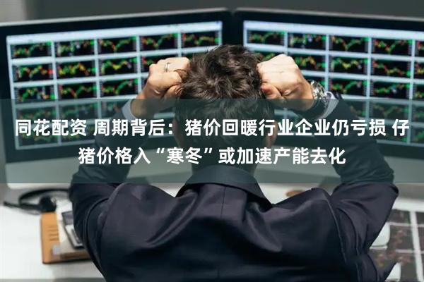 同花配资 周期背后：猪价回暖行业企业仍亏损 仔猪价格入“寒冬”或加速产能去化